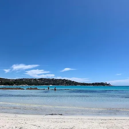Individuelle Avec Piscine Privee Et Grand Jardin Proche Santa Giulia * Porto-Vecchio (Corsica)