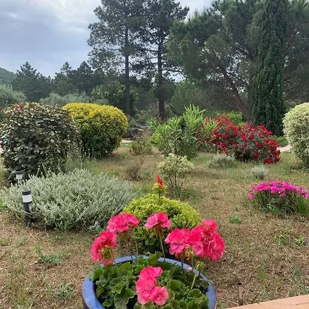 Individuelle Avec Piscine Privee Et Grand Jardin Proche Santa Giulia Villa